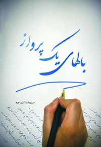 بال های یک پرواز